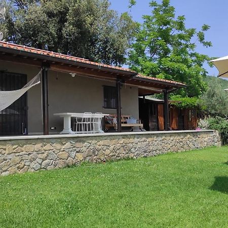 B&B La Casina Di Iris Arezzo Bagian luar foto