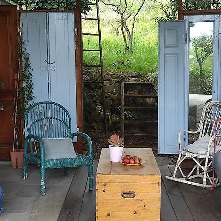B&B La Casina Di Iris Arezzo Bagian luar foto
