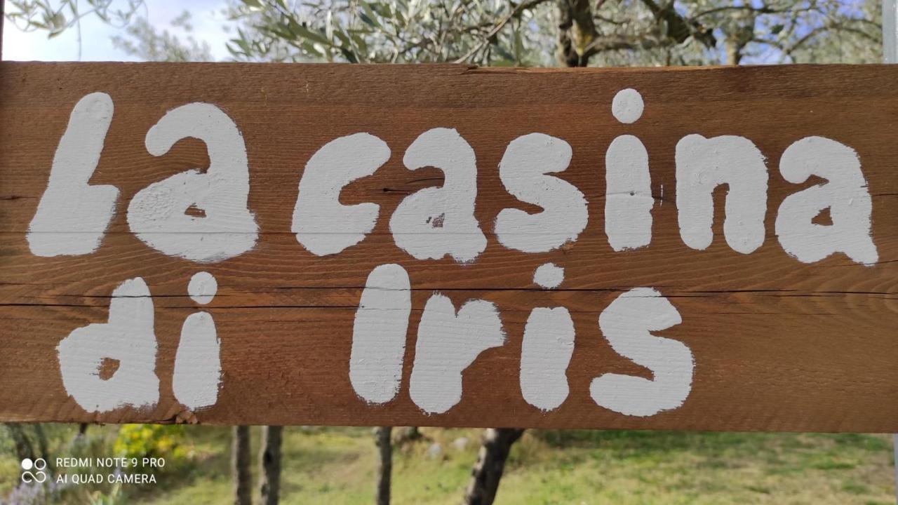 B&B La Casina Di Iris Arezzo Bagian luar foto