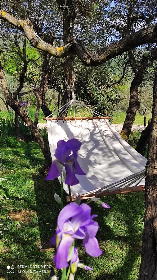 B&B La Casina Di Iris Arezzo Bagian luar foto