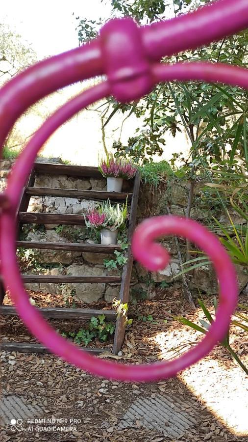 B&B La Casina Di Iris Arezzo Bagian luar foto
