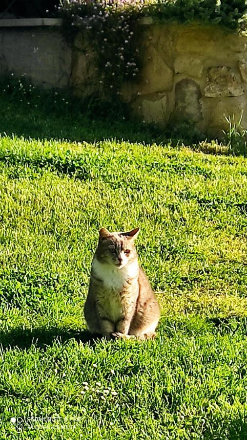 B&B La Casina Di Iris Arezzo Bagian luar foto