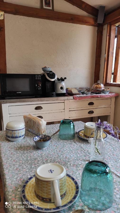 B&B La Casina Di Iris Arezzo Bagian luar foto