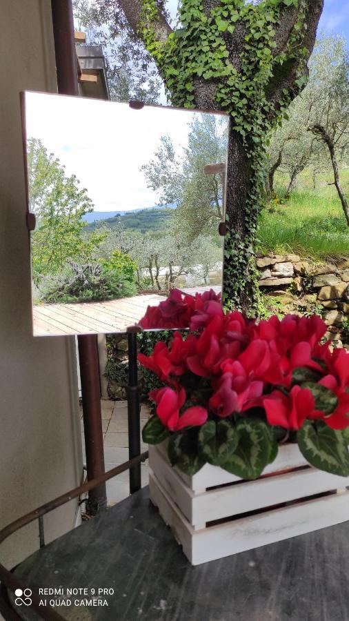 B&B La Casina Di Iris Arezzo Bagian luar foto