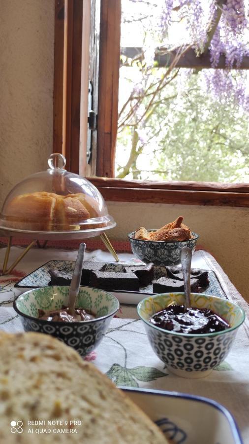 B&B La Casina Di Iris Arezzo Bagian luar foto