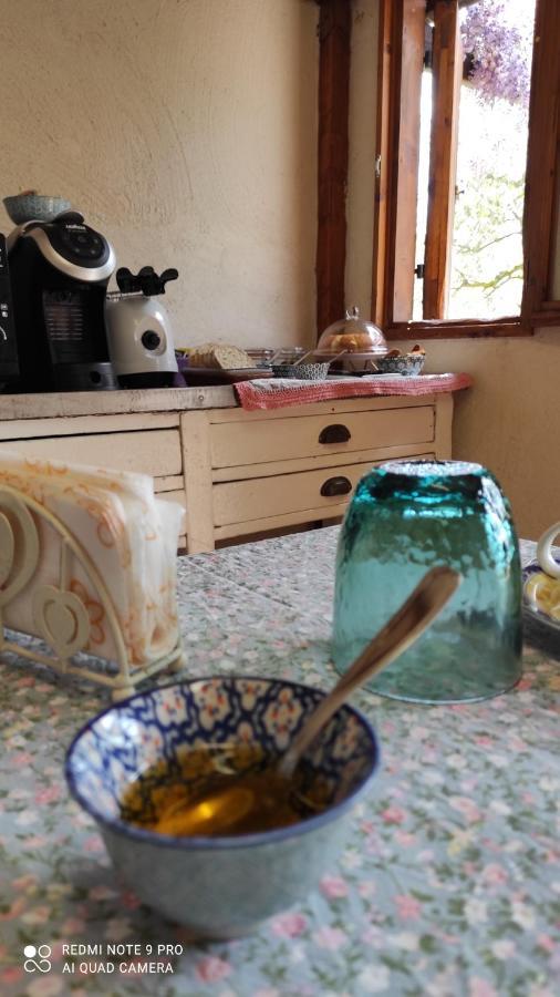 B&B La Casina Di Iris Arezzo Bagian luar foto
