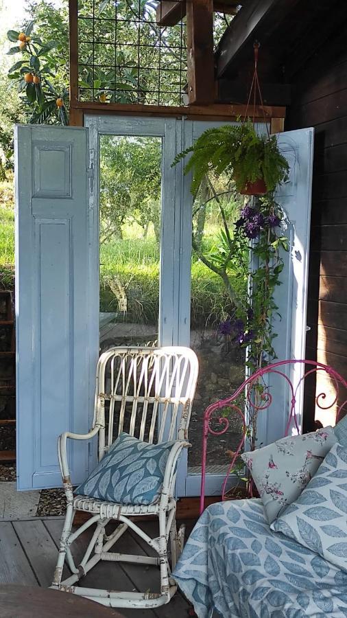 B&B La Casina Di Iris Arezzo Bagian luar foto