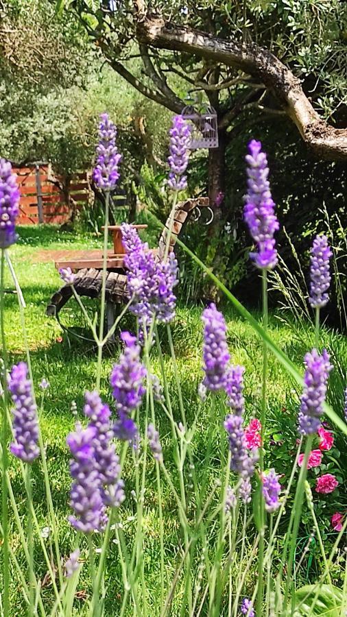 B&B La Casina Di Iris Arezzo Bagian luar foto