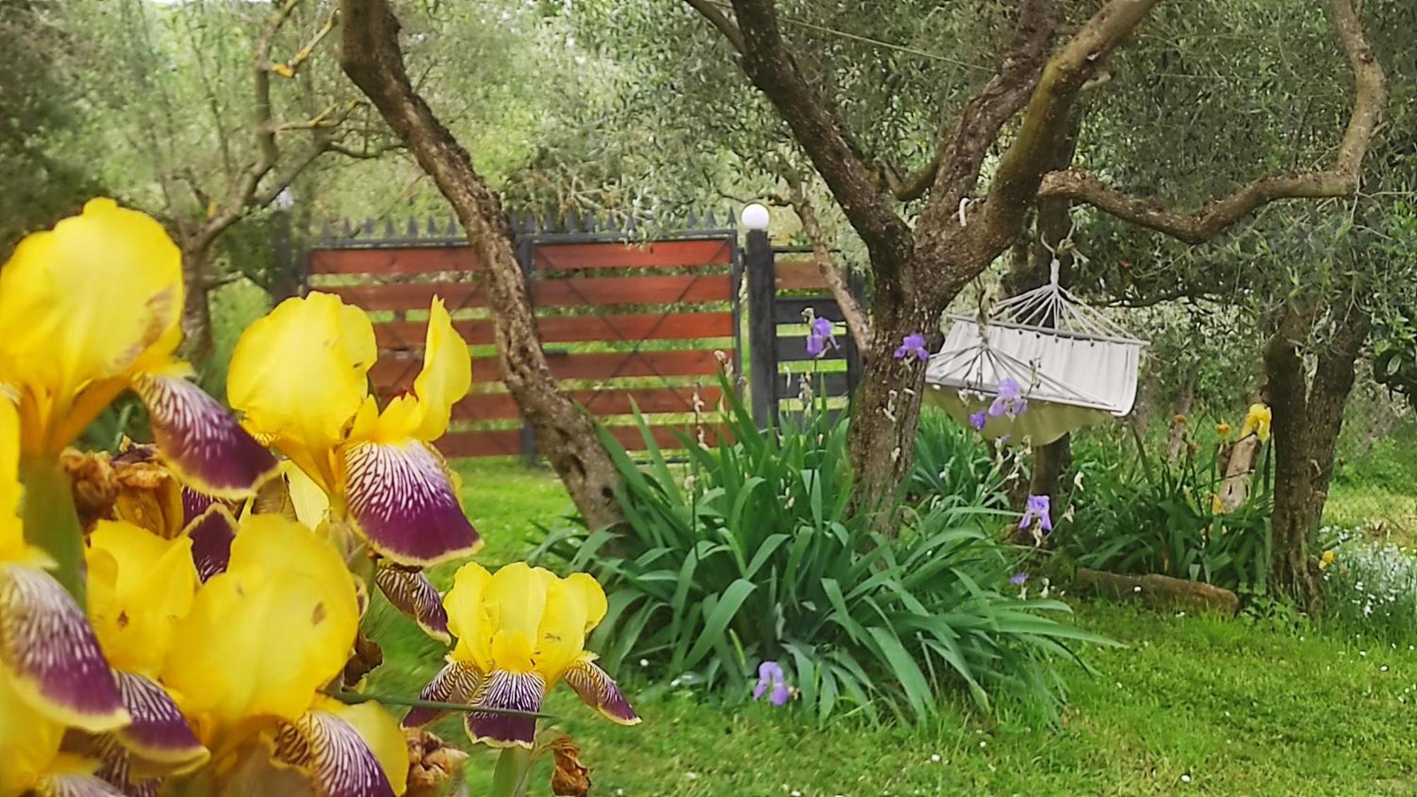 B&B La Casina Di Iris Arezzo Bagian luar foto